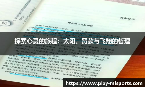 探索心灵的旅程：太阳、罚款与飞翔的哲理